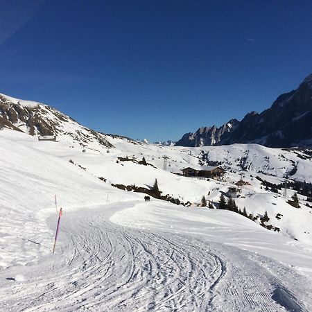 Grindelwald-Sunneblick Apartamento Exterior foto