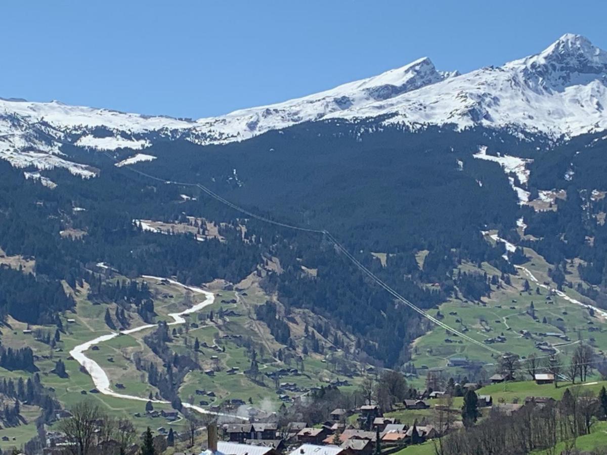 Grindelwald-Sunneblick Apartamento Exterior foto