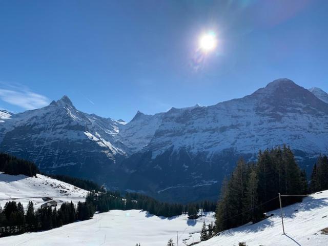 Grindelwald-Sunneblick Apartamento Exterior foto